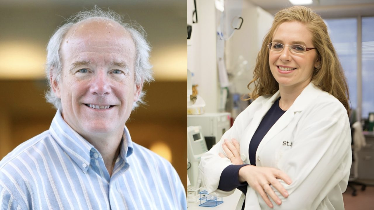 Michelle Sholzberg: Dr. Tom DeLoughery is a hematology hero